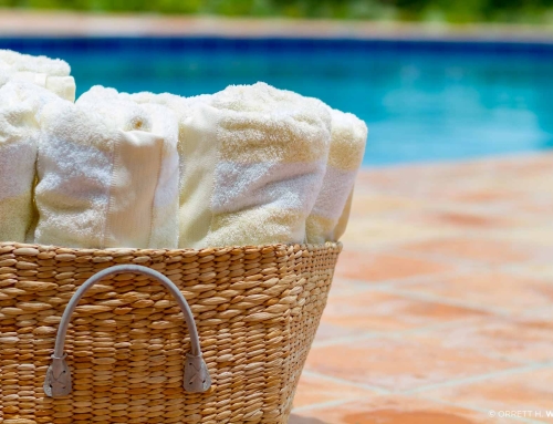 Coconut Palm Villa Pool Towels