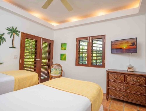 Beach Palm Villa Twin Bedroom 2