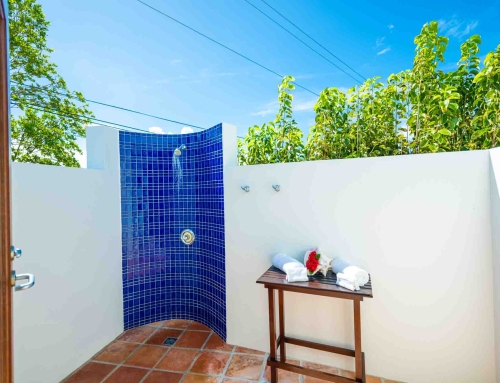 Coconut Palm Villa Poolside Master Outdoor Shower